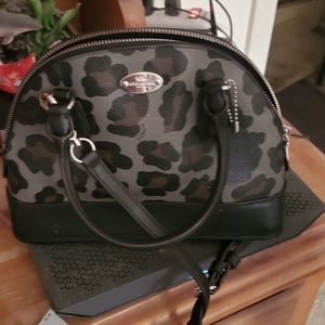 Crossbody purse